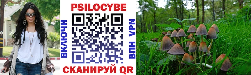 блэк спрут как зайти  Северобайкальск  Псилоцибиновые грибы прущие грибы 