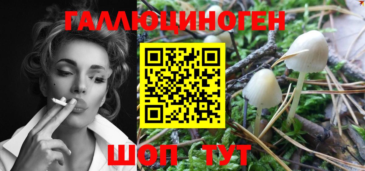 Северобайкальск  Галлюциногенные грибы GOLDEN TEACHER  Вход с VPN 
